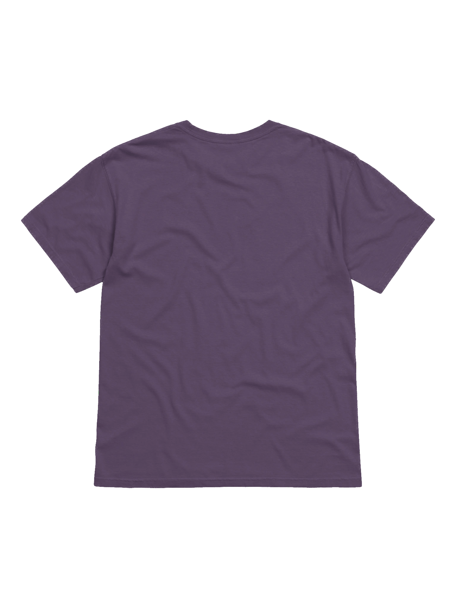 Dragons - Heavyweight T-shirt product image (11)