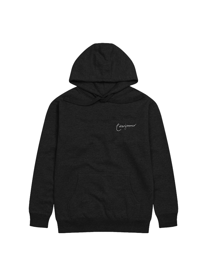 Catsnjammer Embroidered Script Logo Hoodie product image (1)