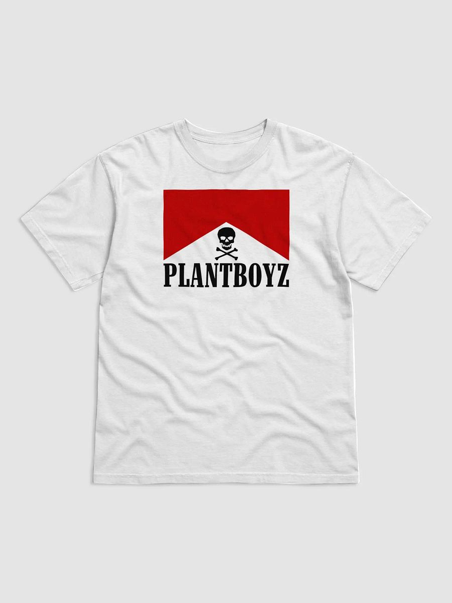 Flavor Country Tee product image (1)
