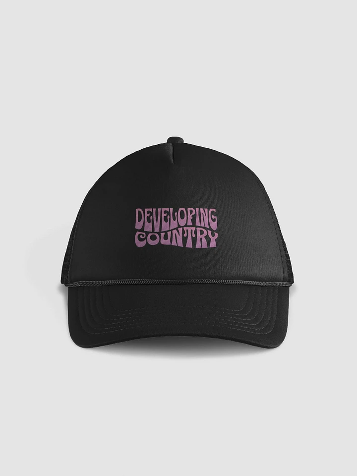 Developing Country ( Trucker Hat ) product image (1)