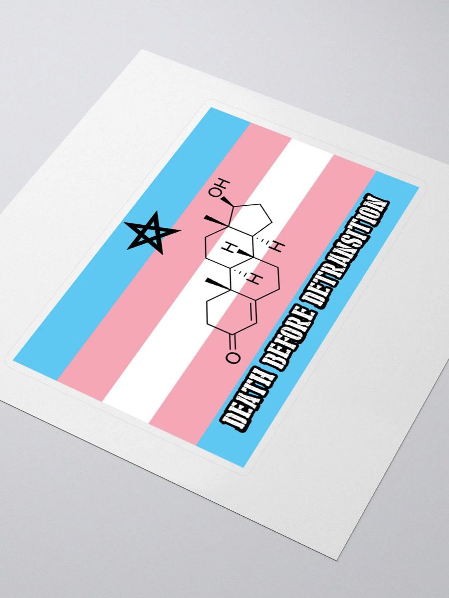 Death Before Detransition (testosterone, sticker edition) product image (8)