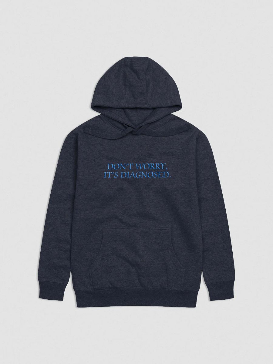 DW, IT'S DIAGNOSED. (monochrome blue) embroidered heavyweight hoodie product image (1)