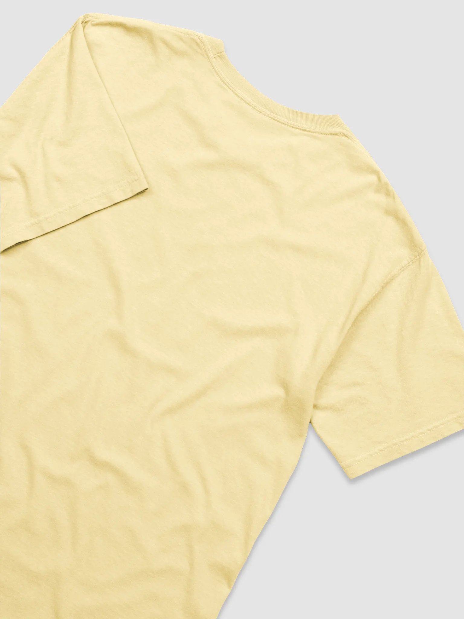 PAFFORD HOMESTEAD Texas Logo Tee product image (4)