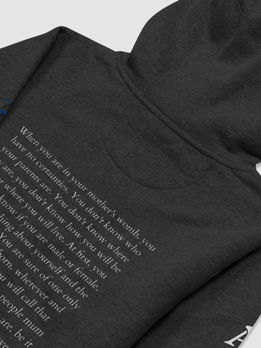 AD MARTEM 12 Born on Mars Hoodie product image (4)