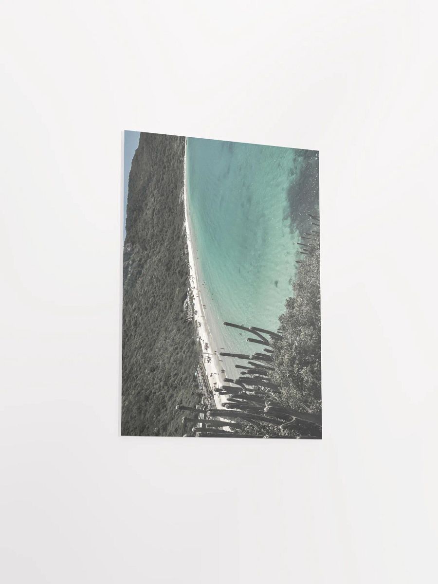 Cactus en Arraial do Cabo product image (4)