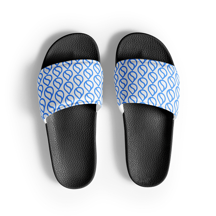 Men's Slides/Sui product image (2)