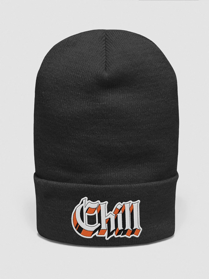 By Lia Chill Embroidered Cuffed Beanie product image (2)