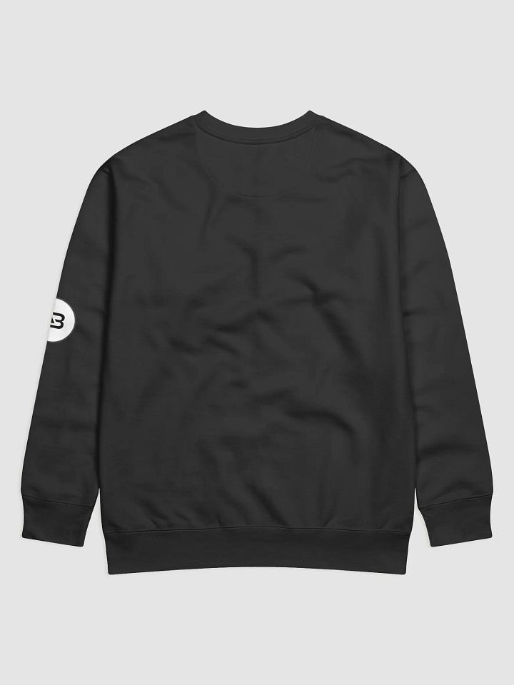 ABVOLLEYBALL Solid Round Neck Cotton Fleece Sweatshirt for Unisex product image (2)