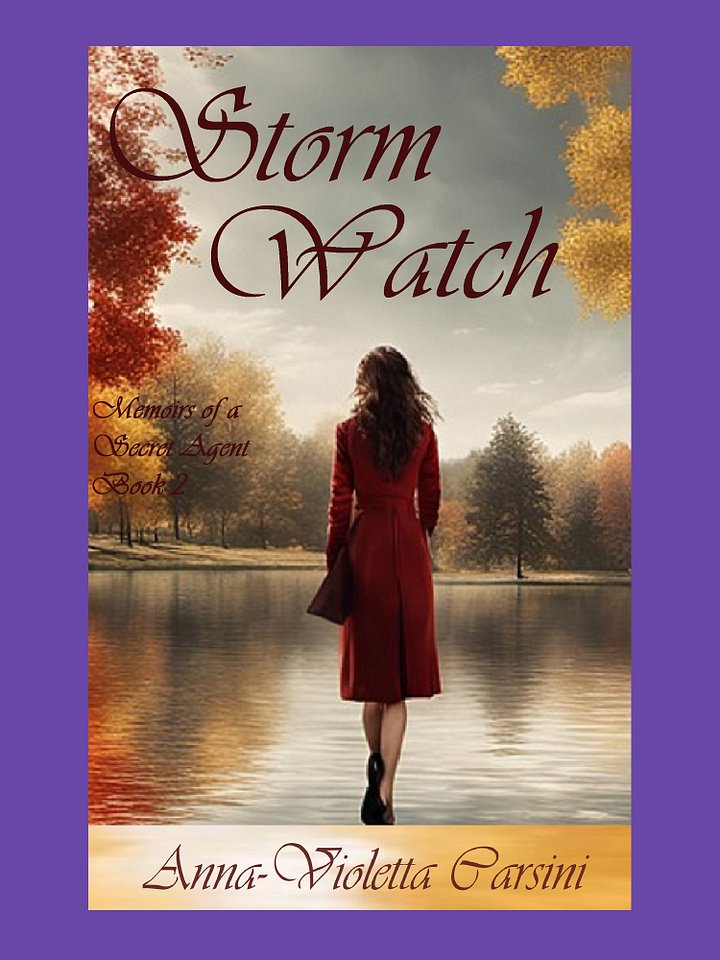 Storm Watch EBOOK product image (1)
