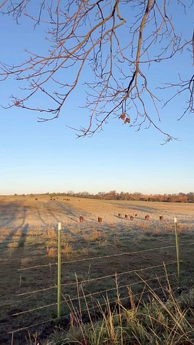 There were poor farming practices that led to some of the milkweed loss across America, but that doesn’t meant the future isn...