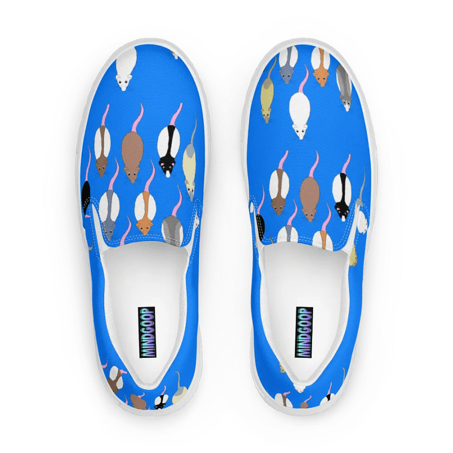Rat pack, canvas slip on shoes (womens) product image (1)