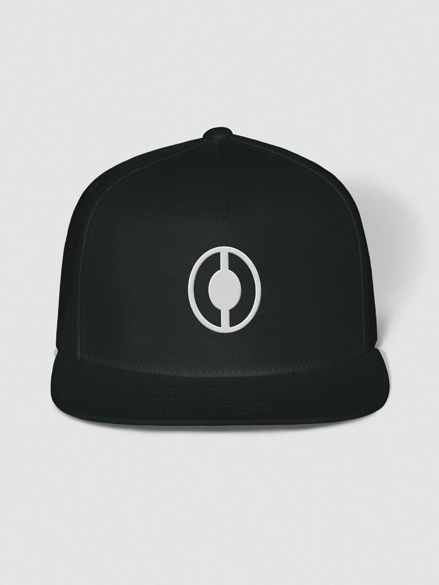 Logo Snapback product image (1)