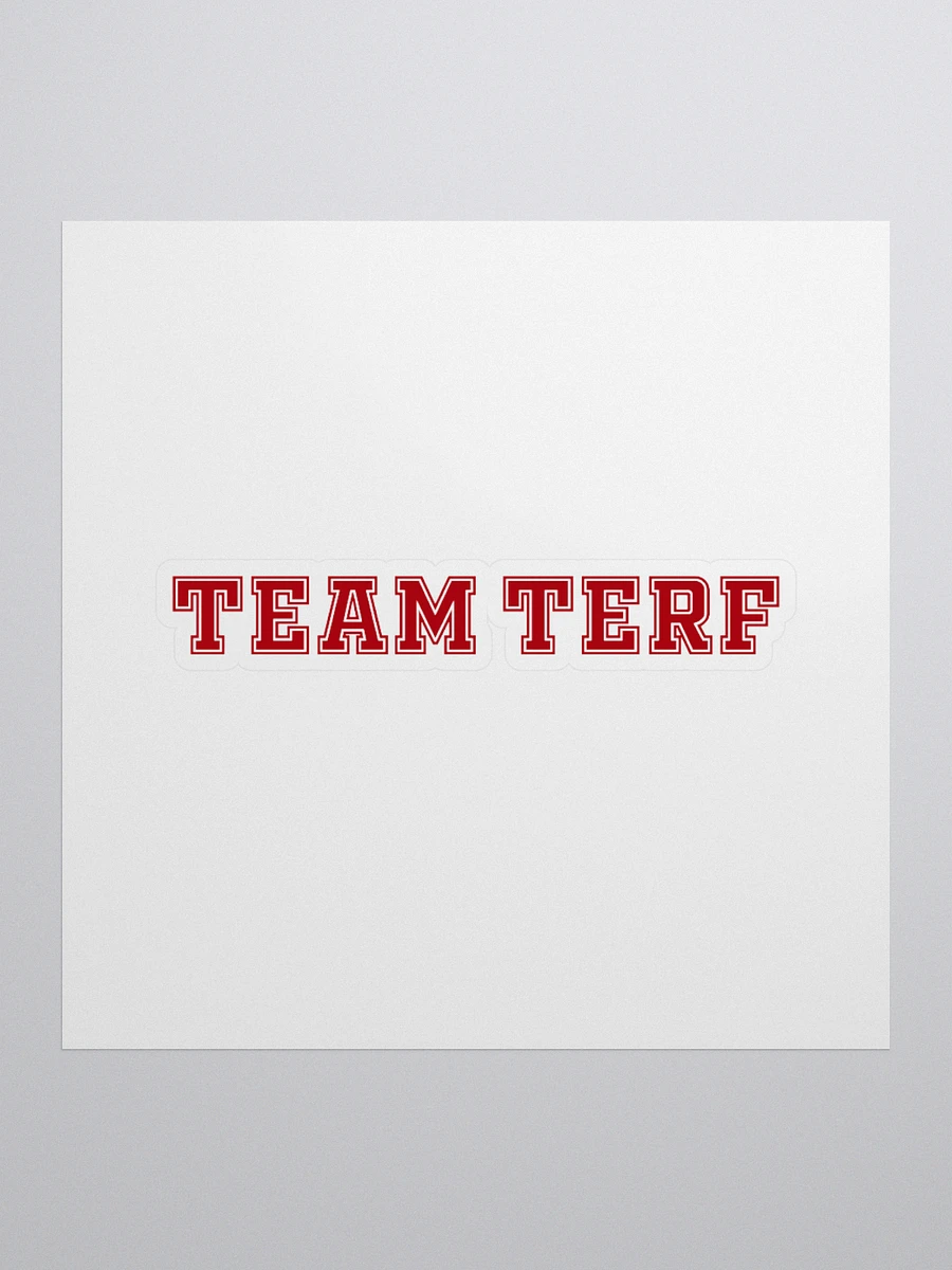 TEAM TERF STICKER product image (3)