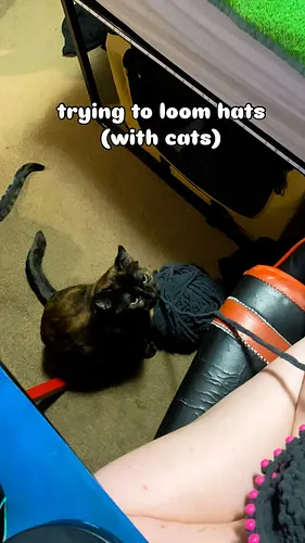 WHY IS MY YARN WET- oh. 🐈🐈‍⬛

#cats #chat #channelpoints #silly #pets #looming