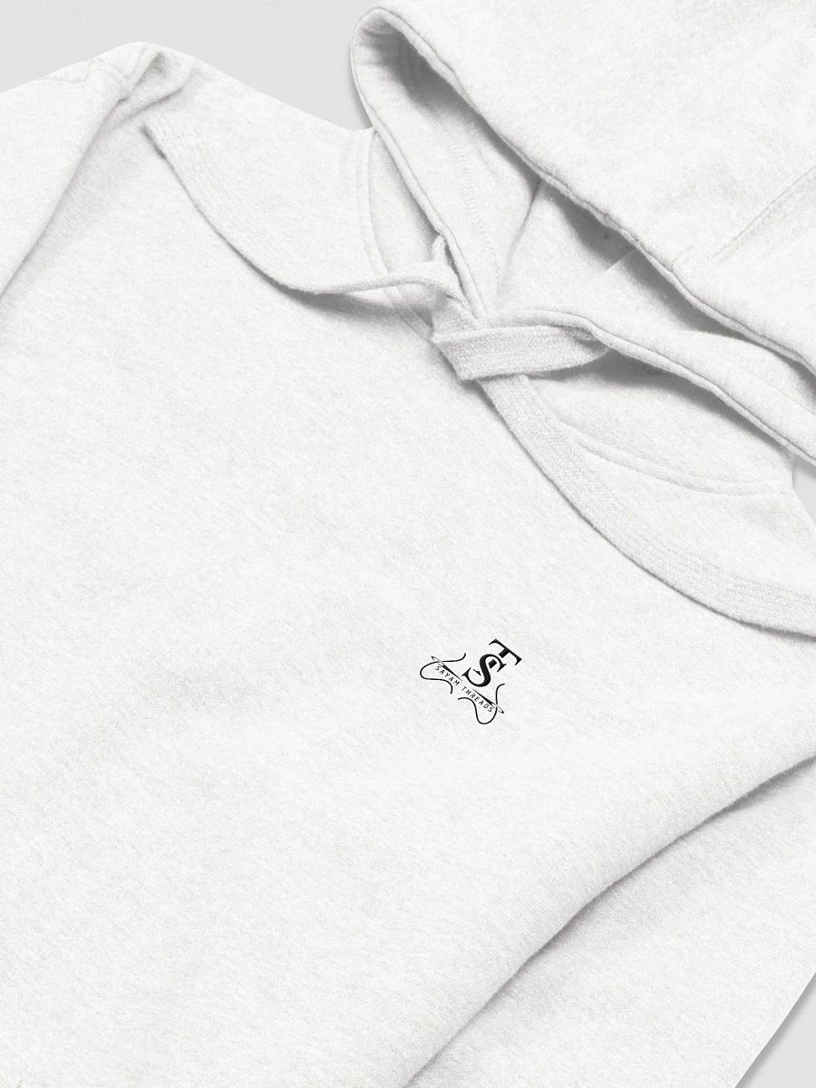 Unisex Premium Hoodie Light product image (15)