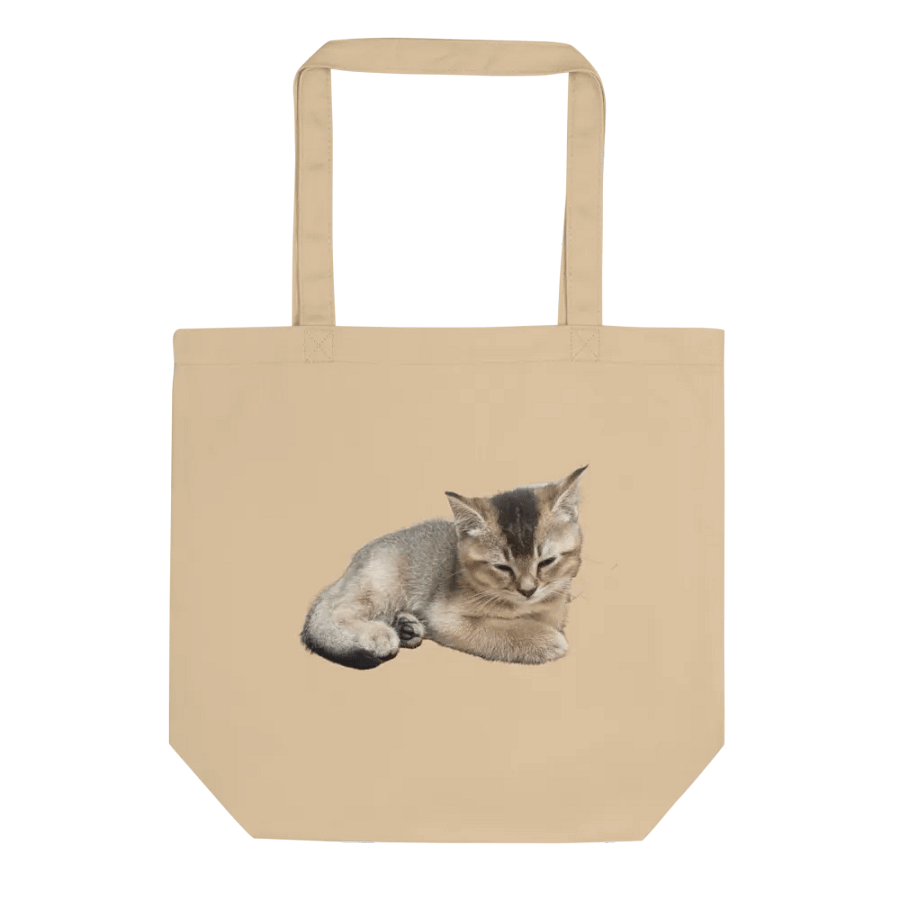 Sleepy Toby's Tote product image (1)