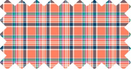 Orange Coral and Blue Plaid (CO25)
