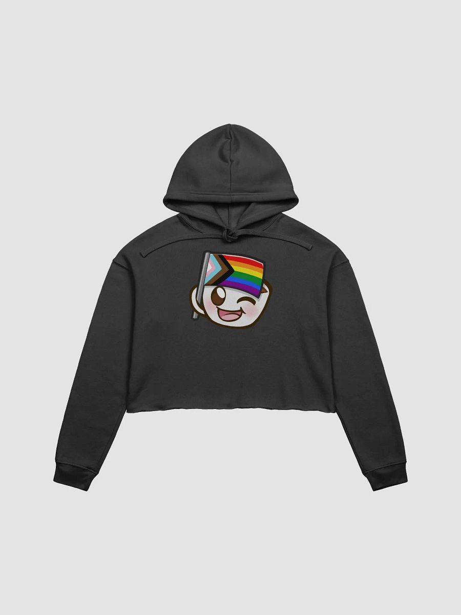 Pride Crop Hoodie product image (1)