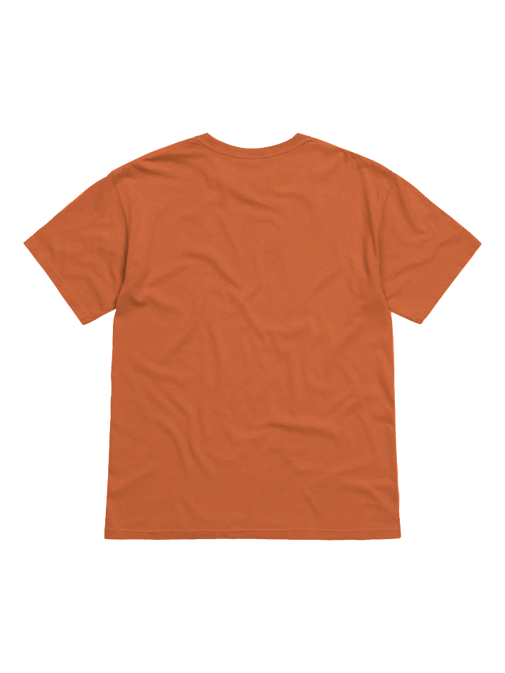 Celestial Good Things T-Shirt product image (12)