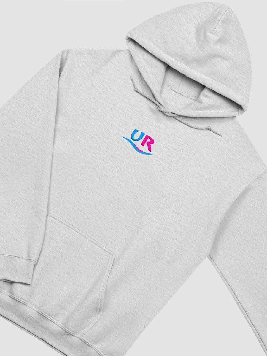 Not a VIBE take a RIDE Hoodie product image (3)