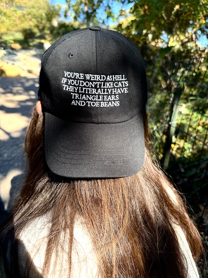 You're weird as hell if you don't like cats hat product image (1)