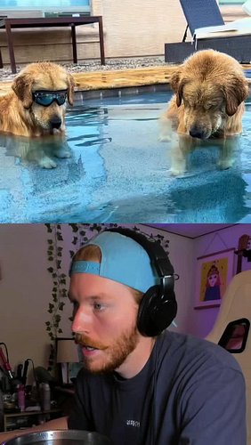 Behind The Scenes 🐕🤿

If you’re a fan of the content consider joining my Patreon! There’s extra goods over there and the supp...