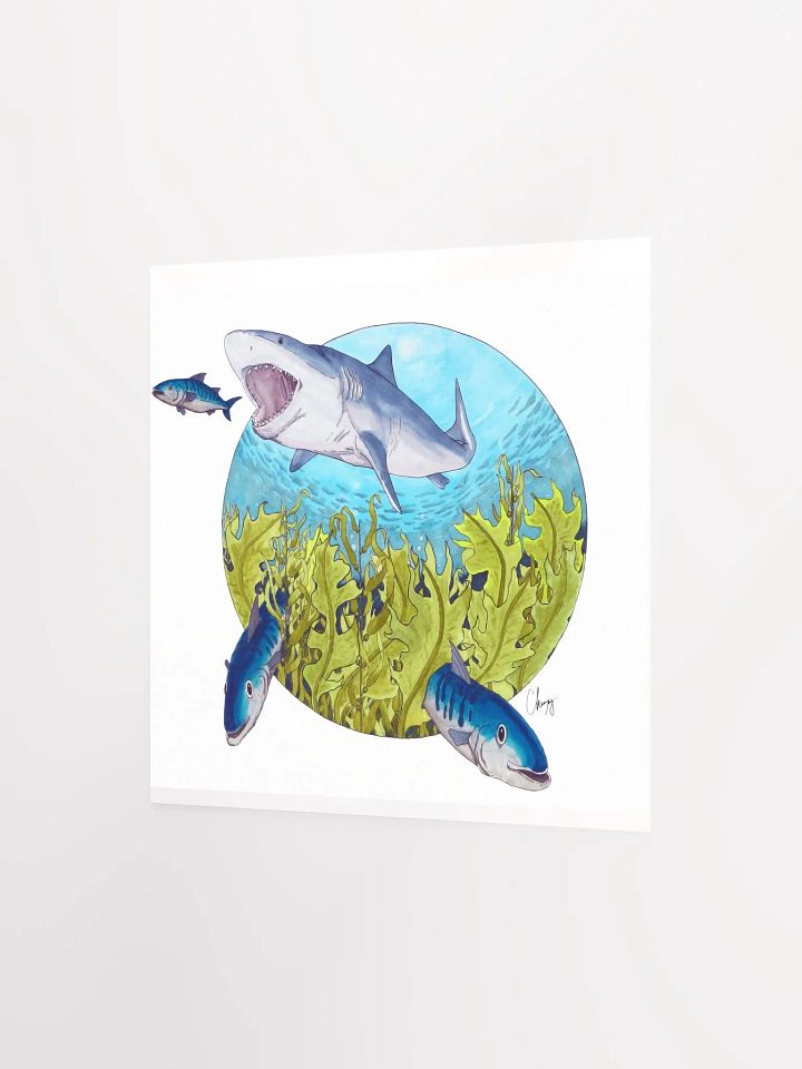 Shark Dinner product image (2)