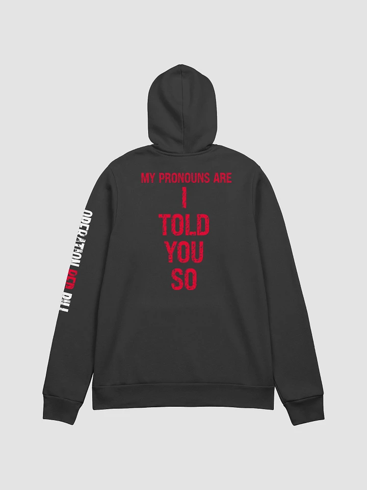 Conspiracy Pronouns Hoodie product image (2)