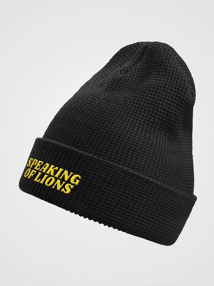 Speaking of Lions! Beanie product image (2)
