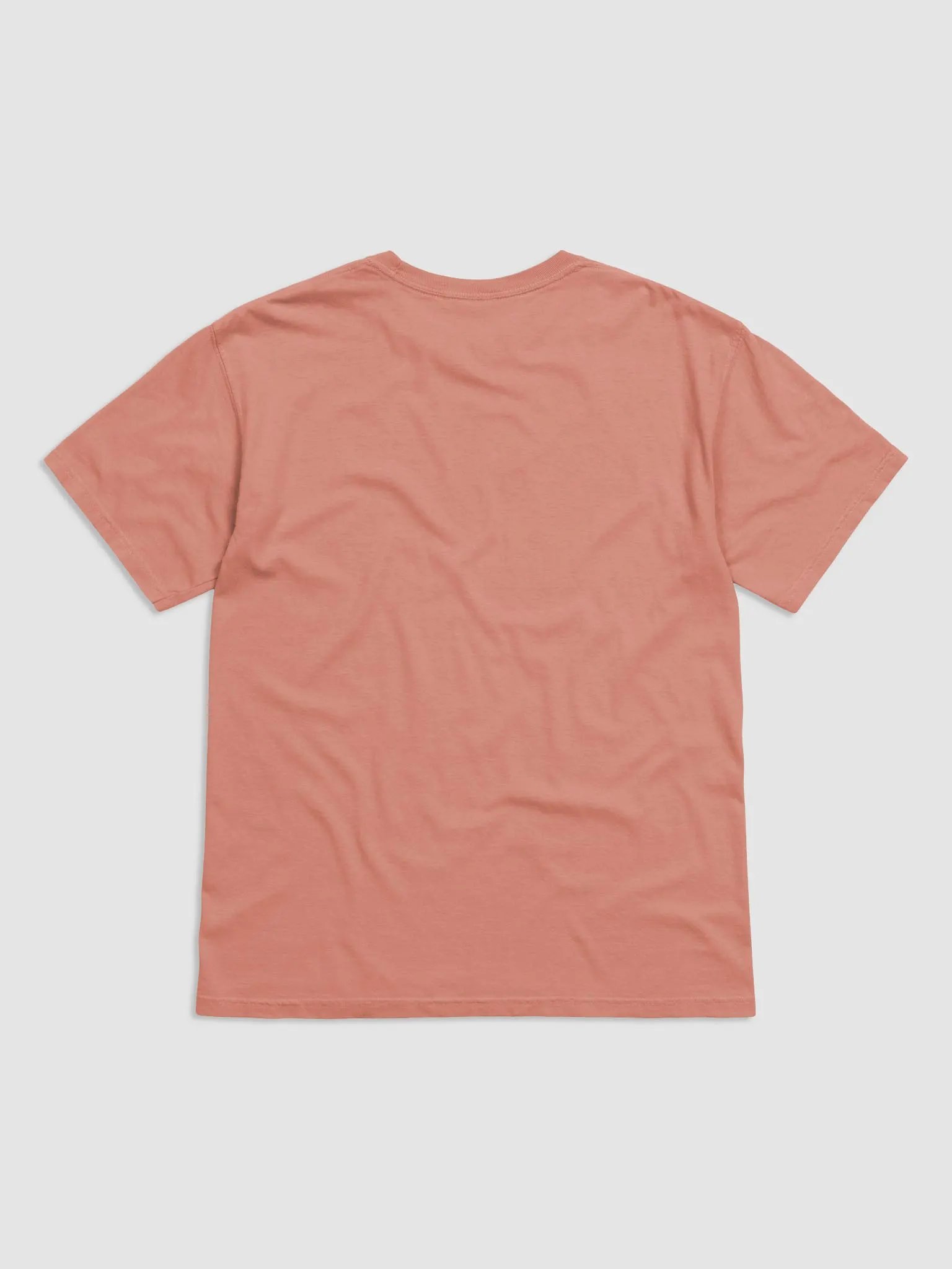 Sassy Persian Rainbow T-Shirt product image (2)