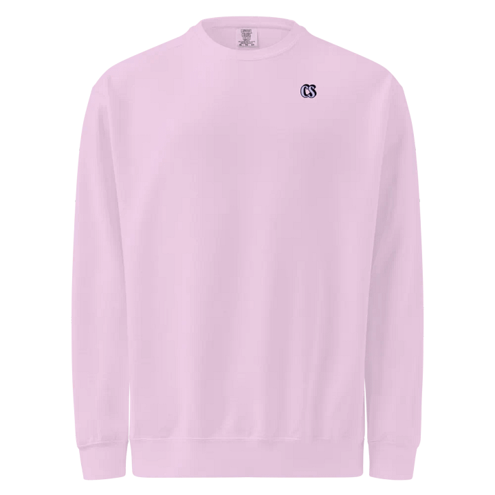 CS SweatShirt product image (29)