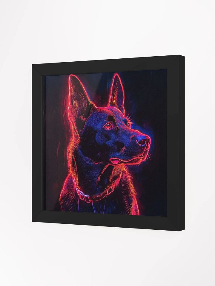 Belgický ovčák Malinois, linie product image (24)