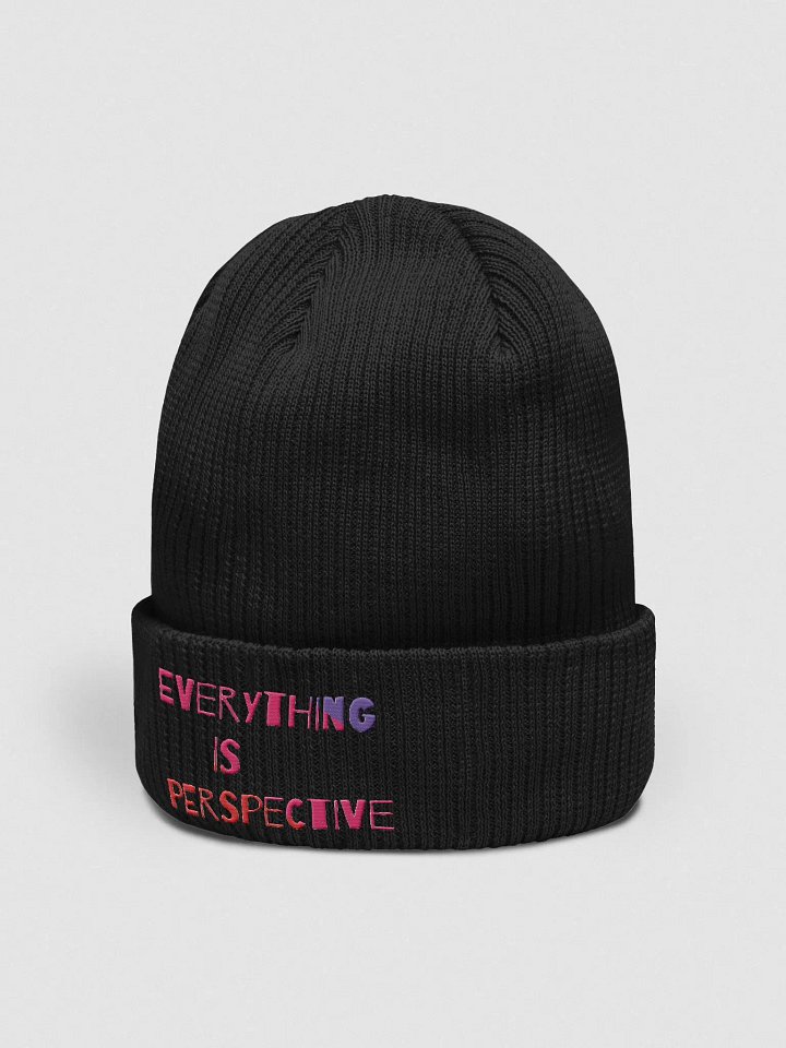 Everything Is Perspective product image (10)