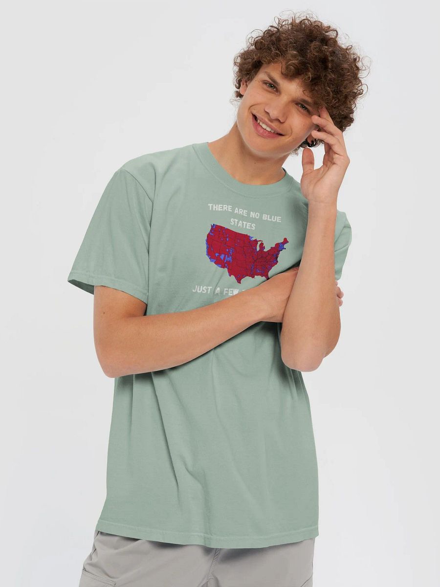 No blue states *smaller print* T-Shirt product image (5)