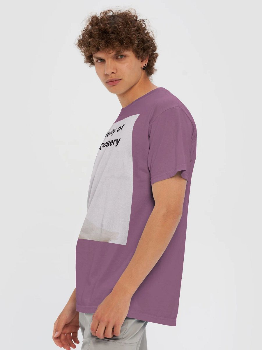 Silly Goose T shirt V3 product image (41)