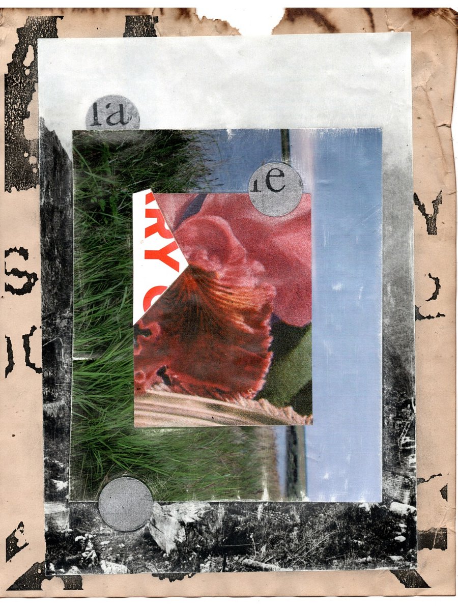 contrast without the intervention product image (1)