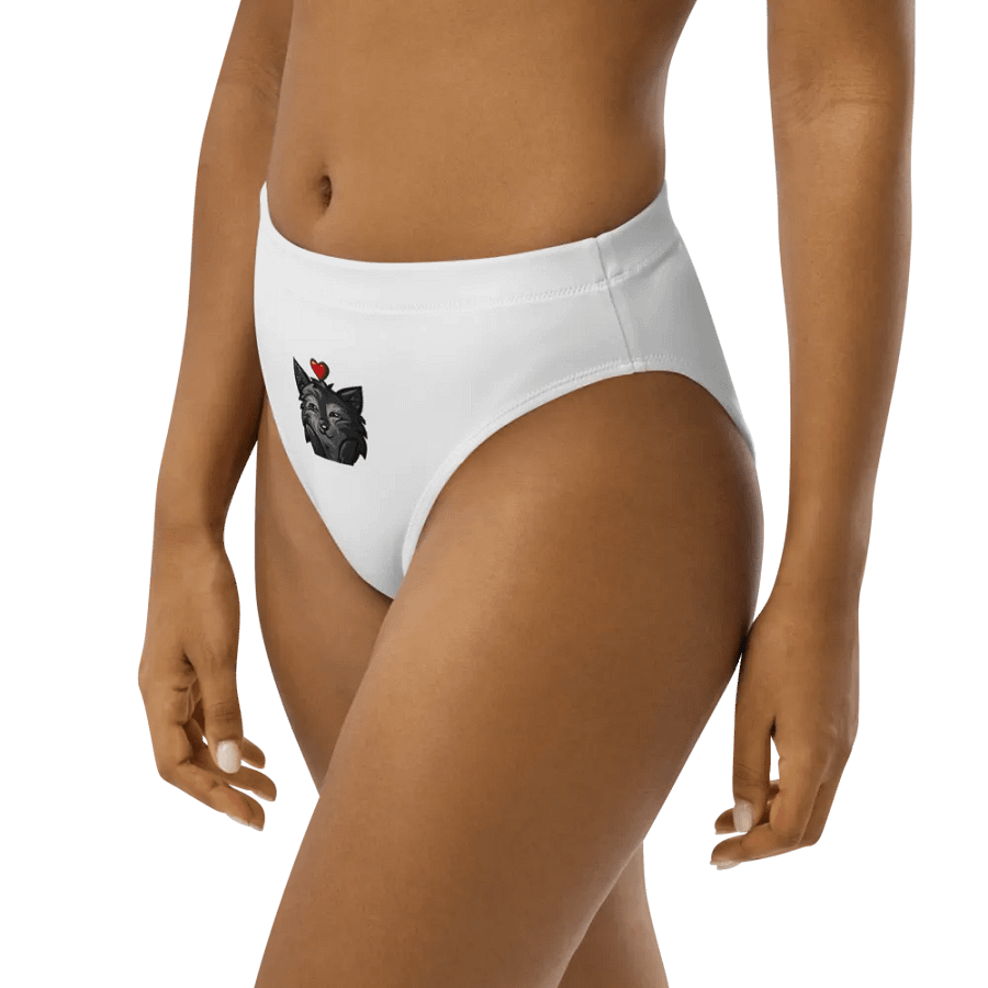 Mythical Medallion High-Waisted Bikini Bottom product image (7)