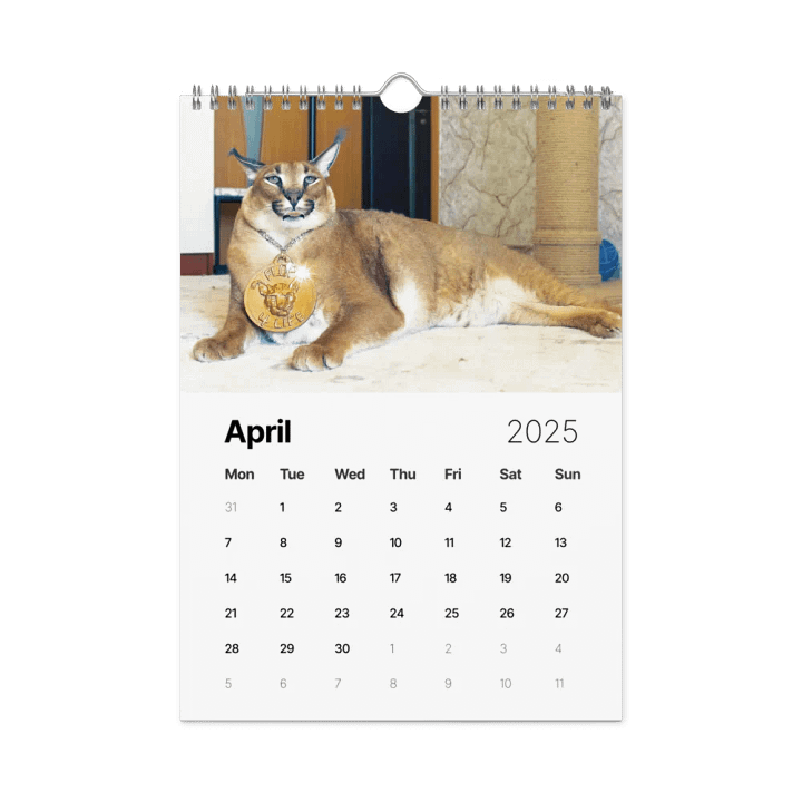 FLOPPA CALENDAR FOR 2025 product image (2)