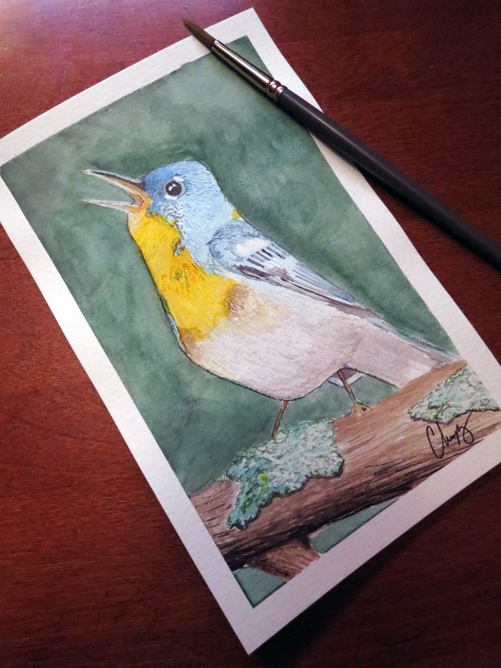 Northern Parola Warbler - Original Watercolor Painting product image (1)