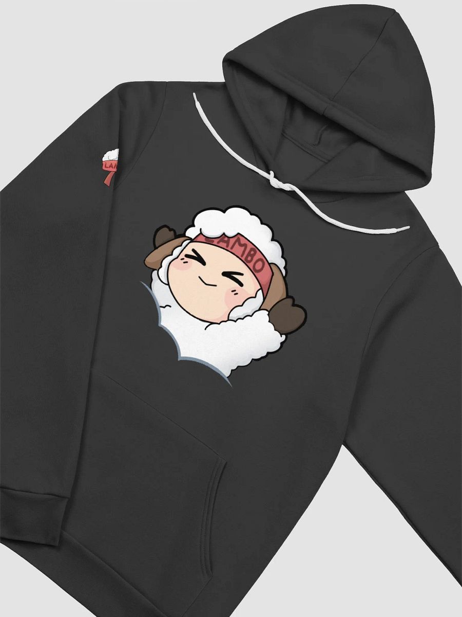 Floofy-bo Hoodie product image (15)