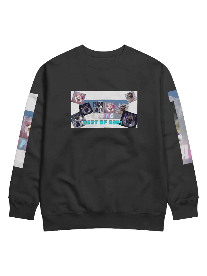 Pug Squad 2024 Sweatshirt product image (1)