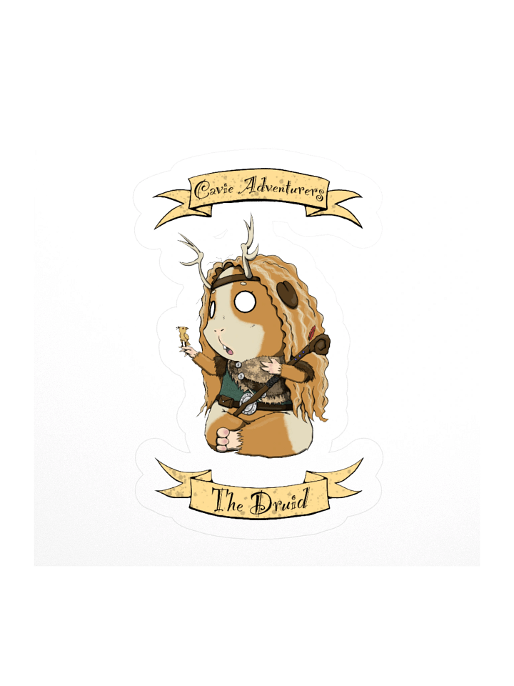 Cavie Adventurers - The Druid product image (1)