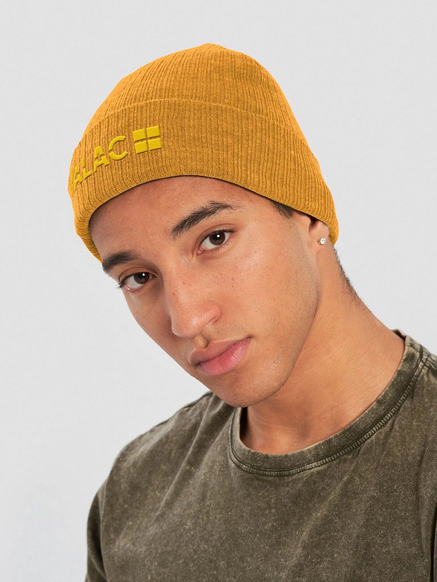 Valac Embroidered Beanie product image (3)