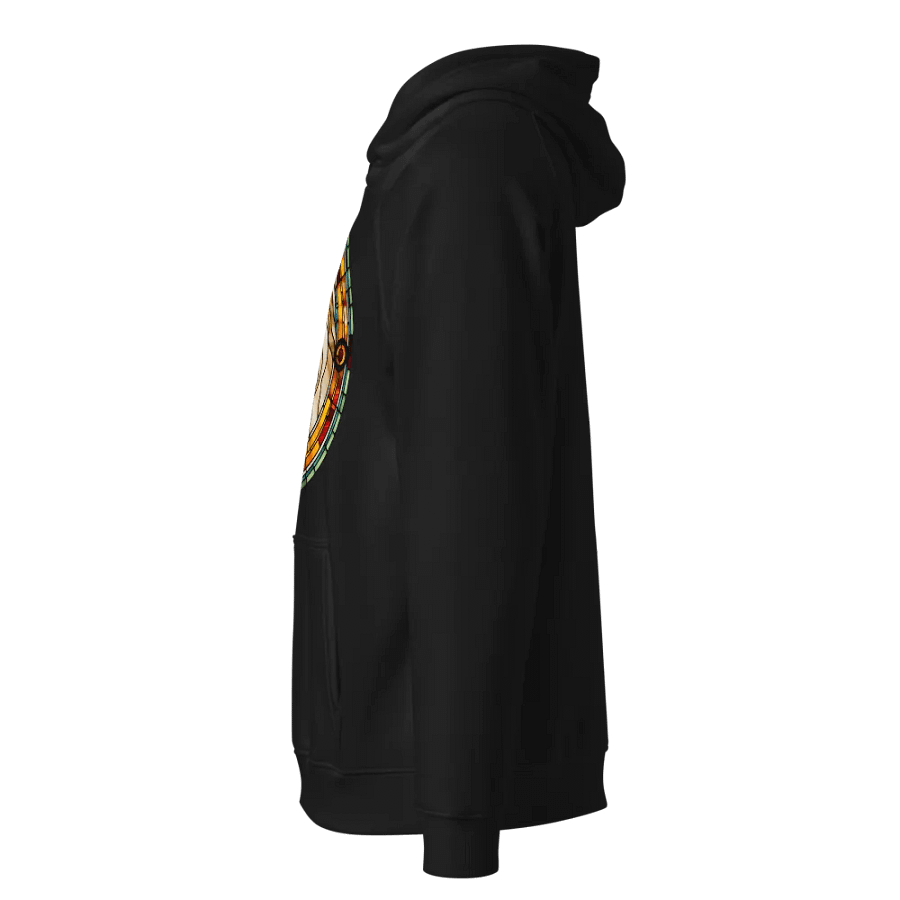 Spiritual Leo - Unique Hoodie Design - Circle Energy product image (2)