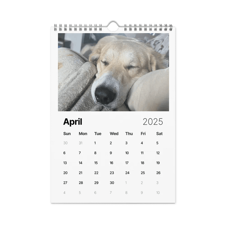 2025 Doggo Calendar product image (1)