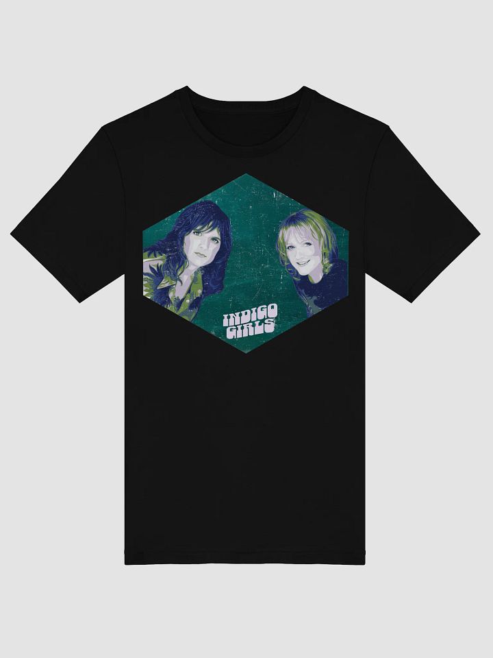 The Indigo Girls – Closer to Fine, Fiercely product image (5)