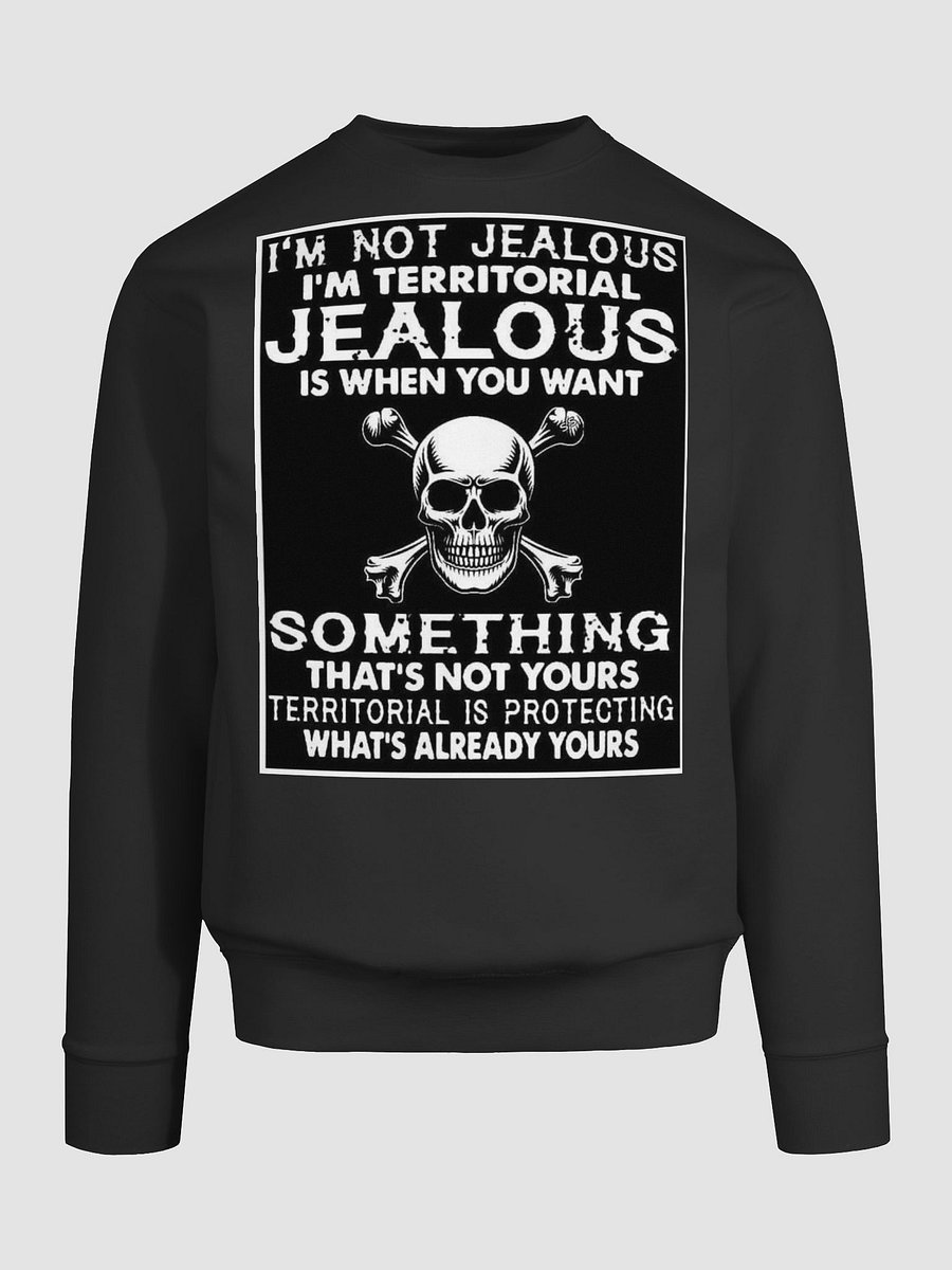 im not jealous pullover product image (9)