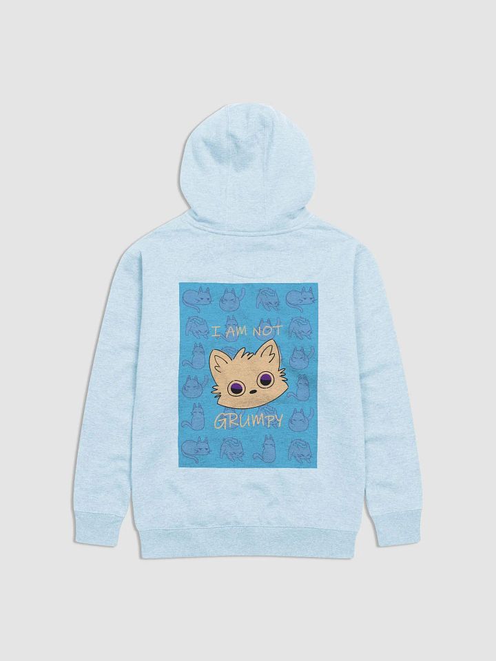 The (NOT) Grumpy Hoodie product image (2)