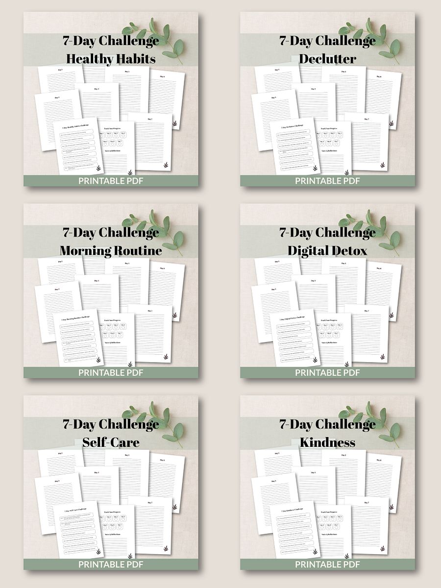 25 Printable 7-Day Challenges Mega Bundle product image (7)