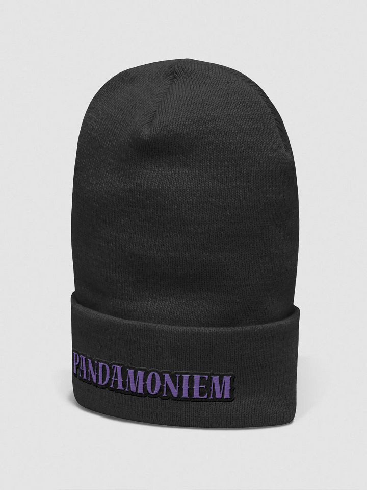 Panda Beanie product image (7)